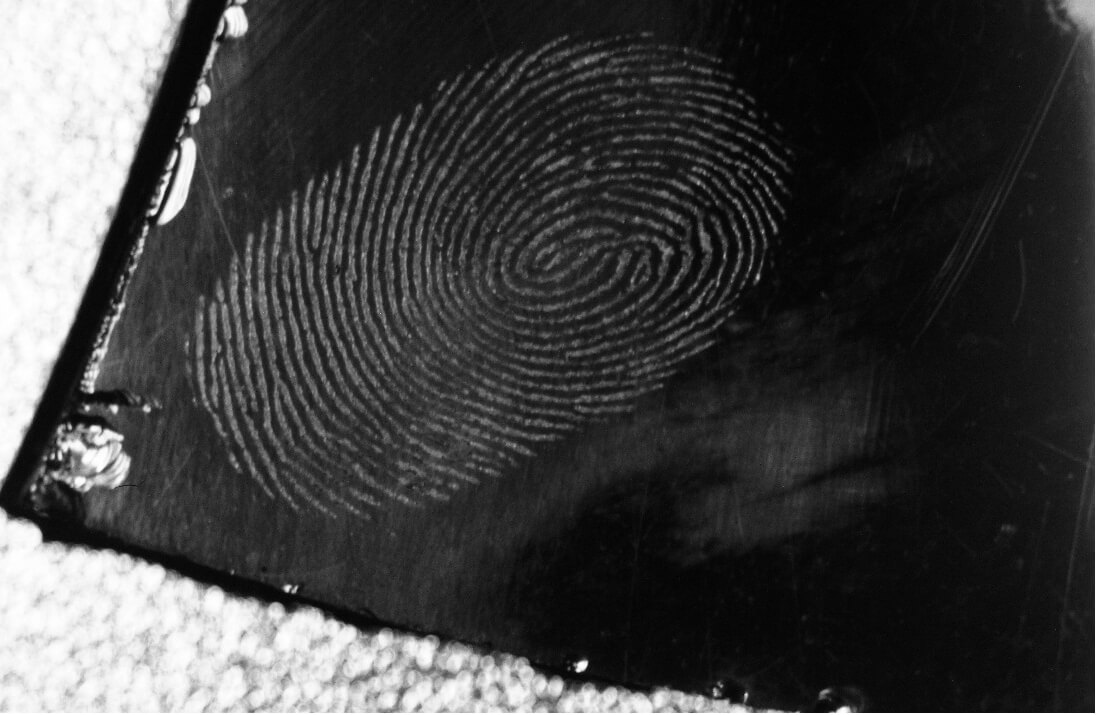 紫紅外照相機(jī)效果圖